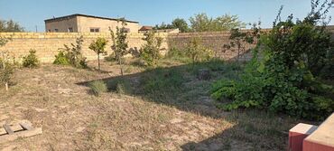 Həyət evləri və villaların satışı: Kürdəxanı qəs. 3 otaqlı, 100 kv. m, Yeni təmirli — 14