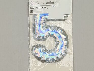 Other Accessories