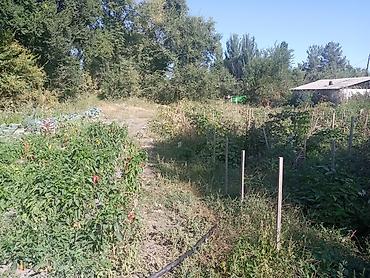 кен сай пост: 8 соток, Для строительства — 1
