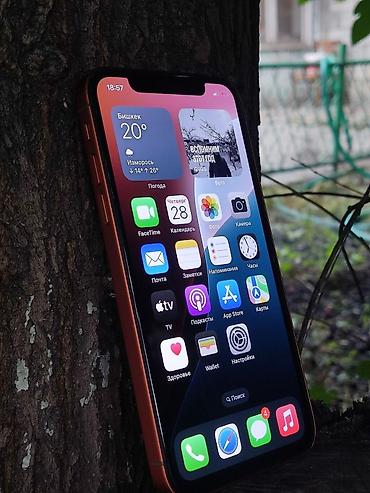 айфон 6 128 гб цена бишкек: IPhone 17 Pro, Б/у, 64 ГБ, Оранжевый, Зарядное устройство, Защитное стекло, 100 % — 1
