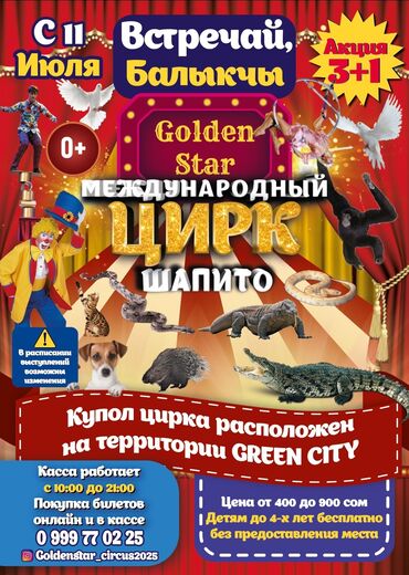 канализация ош номер телефона: БАЛЫКЧЫ ВСТРЕЧАЙ ✨ 🌟 ЦИРК Шапито Golden star 🎪🎪 С 1️⃣1️⃣Июля Гран