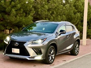 Lexus: Lexus NX: 2019 г., 2 л, Автомат, Бензин, Кроссовер