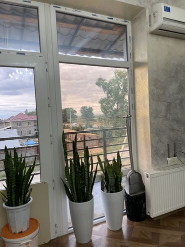 Иссык-Куль 2025: Номер, КОМФОРТ Каракол, Парковка, стоянка — 36