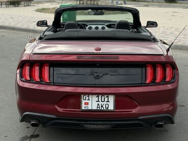 Ford: Ford Mustang: 2018 г., 2.3 л, Автомат, Бензиновая, Кабриолет — 10