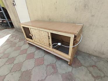 Зоотовары: Брудер для цыплят. универсальный Брудер жожого бодоного коенго хомяка at lalafo.kg — 8 Зоотовары: Брудер для цыплят. универсальный Брудер жожого бодоного коенго хомяка — 8