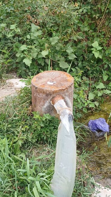 Продажа участков: 1300 соток, Для сельского хозяйства — 6