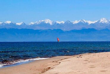 дача на берегу: 550 соток, Курулуш, Сатып алуу-сатуу келишими