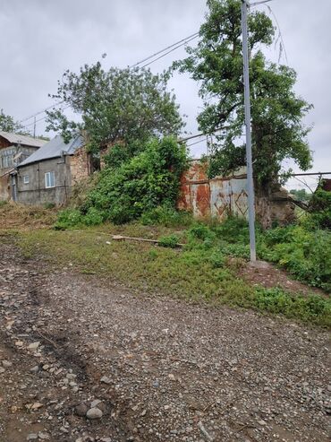 xacmazda satilan torpaqlar: 33 sot, Tikinti, Maklerlər narahat etməsin, Kupça (Çıxarış)