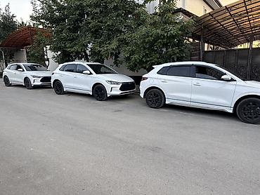 авто полироль: Белый компактный кроссовер с черными элементами стайлинга. Основные — 1