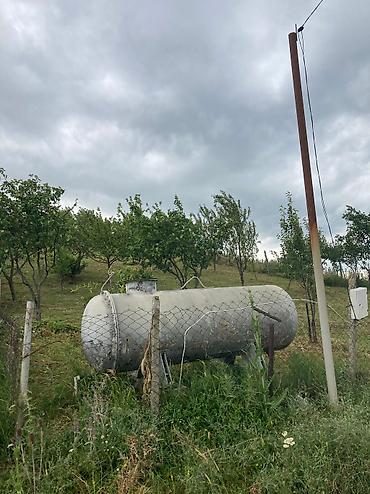 xırdalan torpaq satışı: 12 sot, Tikinti, Mülkiyyətçi, Kupça (Çıxarış) — 7