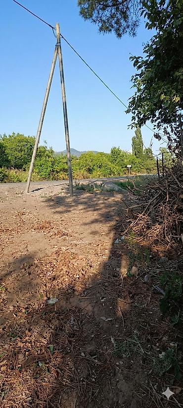 tap az resulzade qesebesi: 50 sot, Tikinti, Mülkiyyətçi, Kupça (Çıxarış) — 5