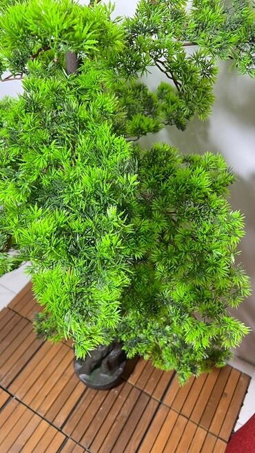 Süni güllər: Süni bonsai ağacı – dekorativ içməkan yaşıllaşdırma üçün - Realistik — 24
