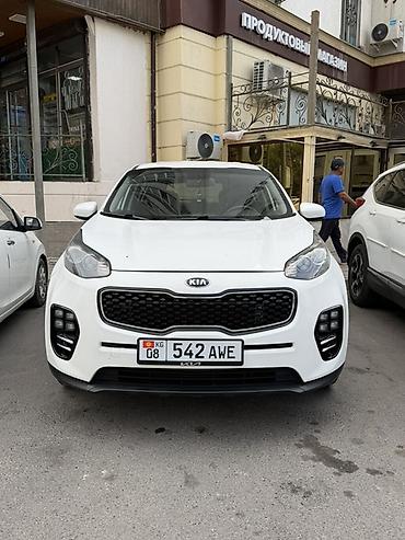 sportage 2021: Kia Sportage: 2019 г., 2.4 л, Автомат, Бензин, Кроссовер — 3