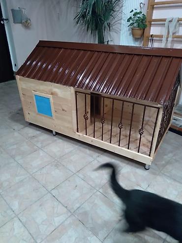 ucuz heyvanlar: İt yuvaları. izolyasiya olunub. standart olaraq 1,1 un 2 metre — 3
