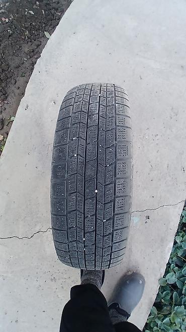 195 14 с: Зимняя шина Dunlop 175/65 R14 82Q - Размер: 175/65 R14 - Индекс — 1