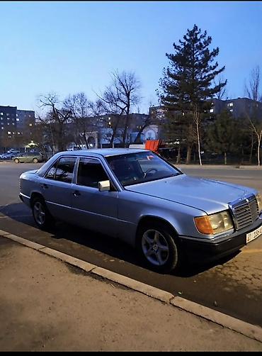 Mercedes-Benz: Mercedes-Benz W124: 1991 г., 2.9 л, Ручные, Бензин, Универсал — 11