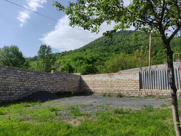Daşınmaz əmlak: 280 sot, Tikinti, Mülkiyyətçi, Kupça (Çıxarış)