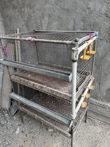 Товары и оборудование для с/х животных: Продается клетка для перепел — 5