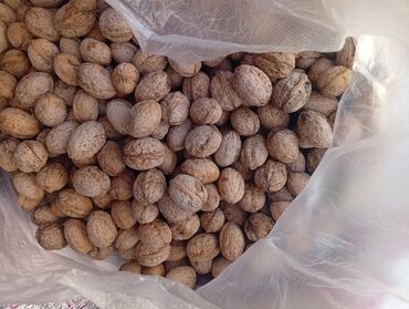 инструменты для работы с кожей: Грецкий орех в скорлупе. - Цельные, неочищенные ядра в естественной