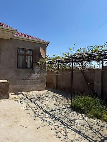 ardıc ağacı: 3 otaqlı, 90 kv. m, Orta təmir — 2