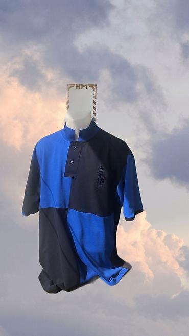 Мужская одежда: Мужское поло, Ralph Lauren, L, цвет - Синий — 5