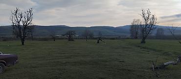 Torpaq sahələrinin satışı: Kənd təsərrüfatı — 10