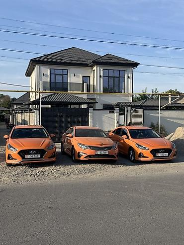 jack 4: Сдаю Hyundai Sonata, Почасово, С водителем — 1