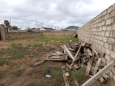 Torpaq sahələrinin satışı: 25 sot, Tikinti, Kupça (Çıxarış) — 5