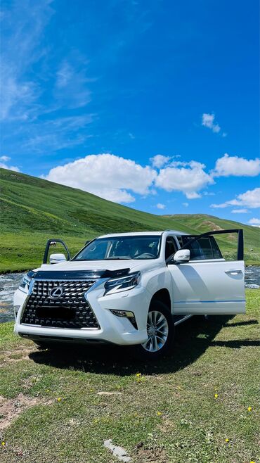 Lexus: Lexus GX: 2019 г., 4.6 л, Автомат, Бензин, Внедорожник