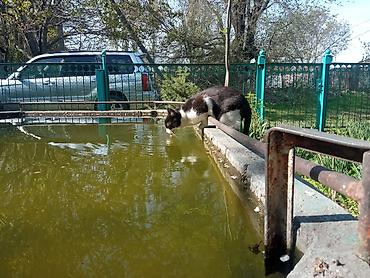 Продажа коттеджей и домов: 📍 Продается большой кирпичный дом на ст. Ивановка, Чуйская область — 6