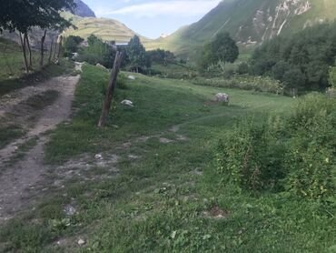 Torpaq sahələrinin satışı: 5 sot, Tikinti, Maklerlər narahat etməsin, Kupça (Çıxarış) — 2