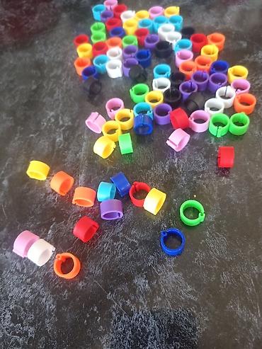 satdig quslar: Məhsul: Rəngli quş ayaq halqaları (klips tipli) - Material: Yüngül və — 1