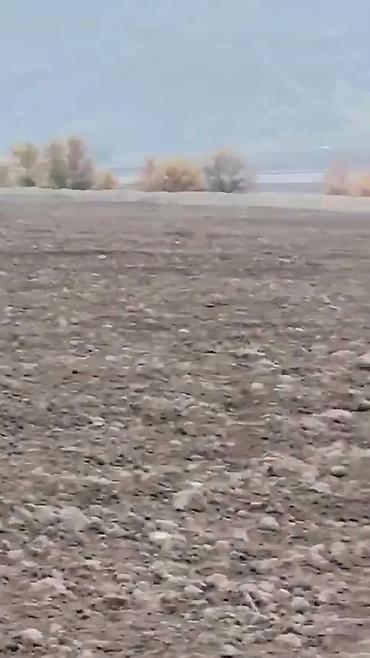 Torpaq sahələrinin satışı: Kənd təsərrüfatı -da lalafo.az — 10 Torpaq sahələrinin satışı: Kənd təsərrüfatı — 10