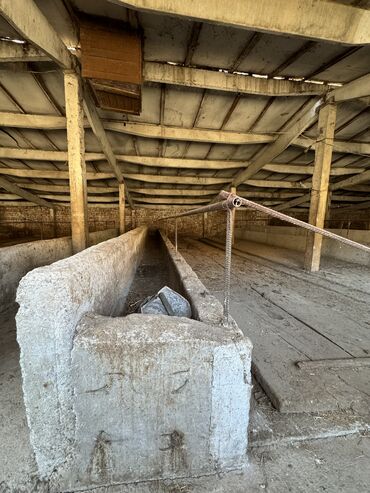 Сельхоз предприятия: Продаю Кошара, 130 соток, Действующий, Частично с оборудованием, Электричество, Канализация, Отопление — 12