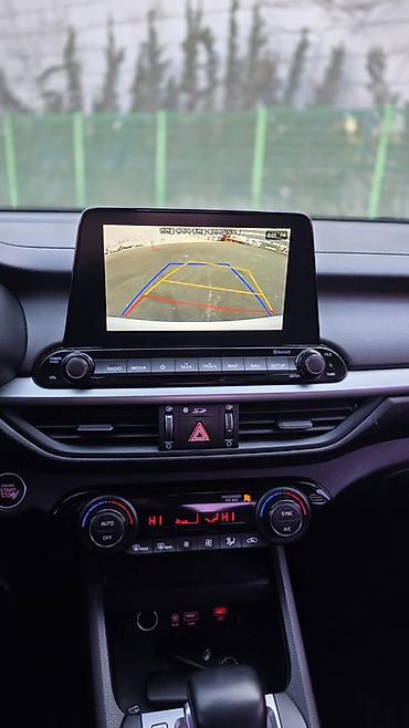 Kia: Kia Sportage: 2020 г., 1.6 л, Автомат, Дизель, Кроссовер — 17