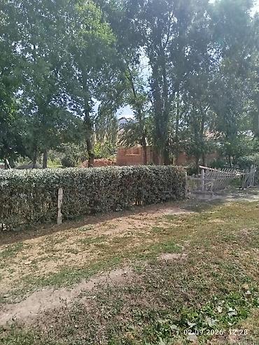 земля сокулуке: 🏡 ПРОДАЁТСЯ УЧАСТОК — 30 СОТОК 📍 Сокулукский район, село Тош-Булак — 6