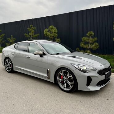 фит рул: Kia : 2018 г., 3.3 л, Автомат, Бензин, Седан