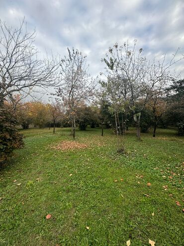zaqatala emlak bazari: 10 sot, Tikinti, Barter mümkündür, Kupça (Çıxarış)