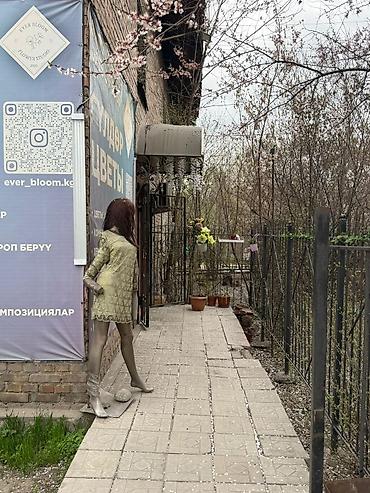 эвелины цветы: Продаётся помещение 42 кв 1 этаж ул Лермонтова 4/2 тел - Авторские — 4