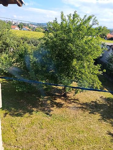 izdavanje kuća beograd: Kuca ma prodaju u mirnom.fva kupatila kuca se sastoji od prizemljai — 3