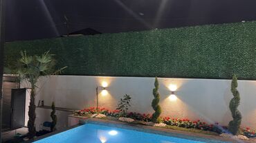 Bağ və bostan üçün digər məhsullar: 19 man baslayan qiymetler — 10