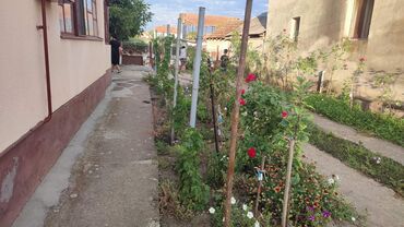 Kuće na prodaju: 80 kv. m, 3 sobe — 17