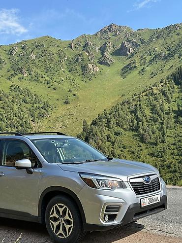 защитник: Subaru Forester: 2021 г., 2.5 л, Автомат, Бензин, Кроссовер — 4