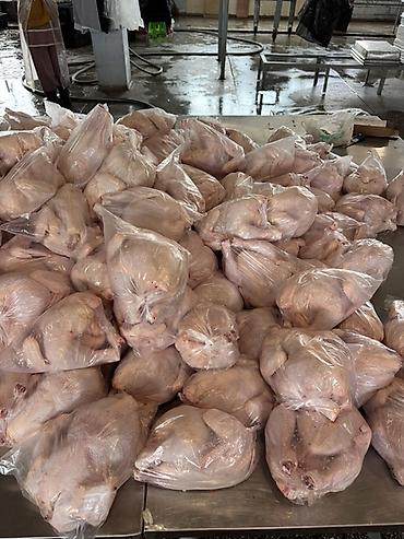 туша курицы: ТУШКА ТООК ЭТИ САТЫЛАТ🍗 Грильный весь1,3-1,6 кг га чейин 240сом 2 кг — 3