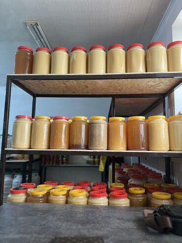 куплю мёд: Токтогулский горный мёд высшего качества, оптом и в розницу Цена