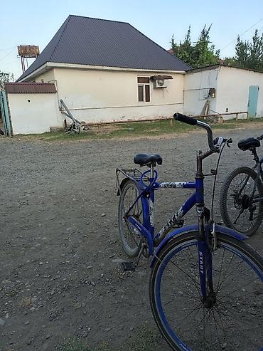 trek marlin 5: Şəhər və kənd yolları üçün praktiki velosiped - Rəng: mavi-ağ - — 1