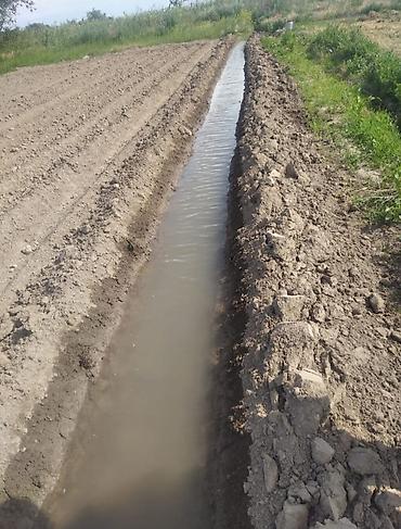 Арычники: Арычник новый — 9