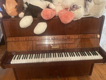 bayan aləti: Piano, Akustik