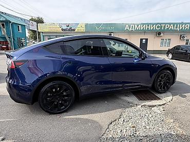 Tesla: Tesla Model Y: 2023 г., Вариатор, Электромобиль, Кроссовер — 4