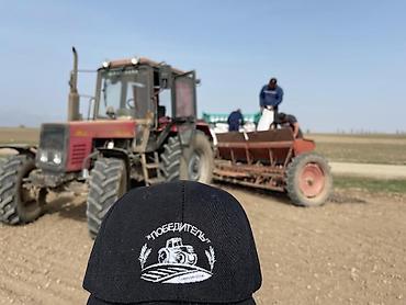 Другие виды семян и саженцев: Коп жылдык эспарцет уругу. Уроончулук чарба "Победитель" Ысыккол обл — 12